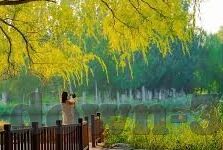 玛丽水果机赢话费下载-玛丽水果机赢话费下载，解锁娱乐新体验